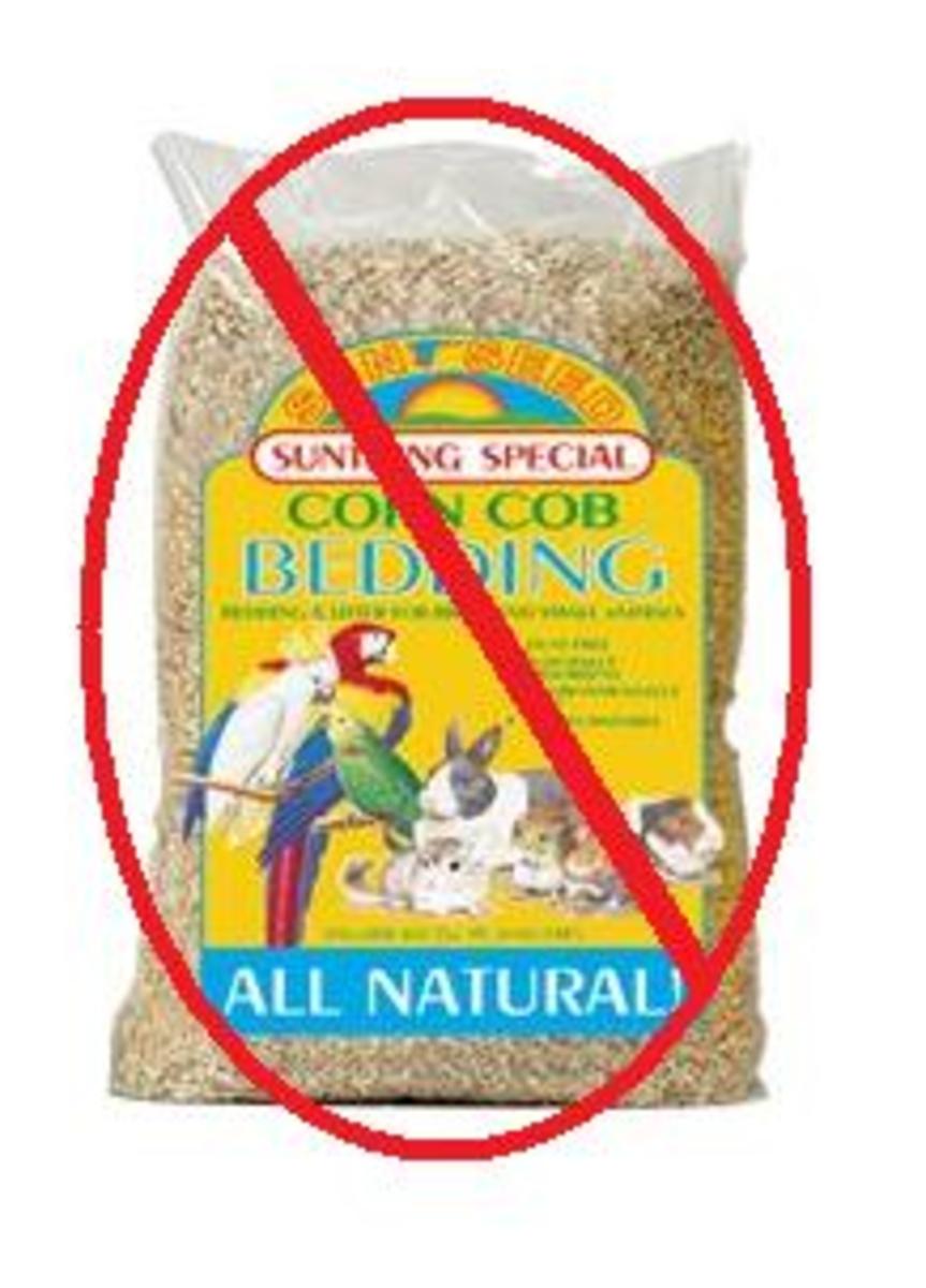 Rats In The House Keeping Fancy Rats HubPages