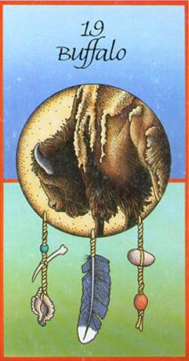 Native American Totem Animal Medicine Cards HubPages