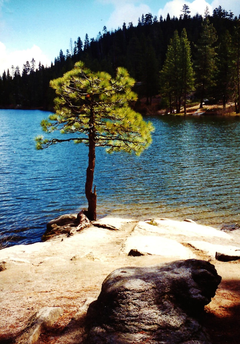 Hume Lake Sequoia National Park Pictures of Delightful Discovery