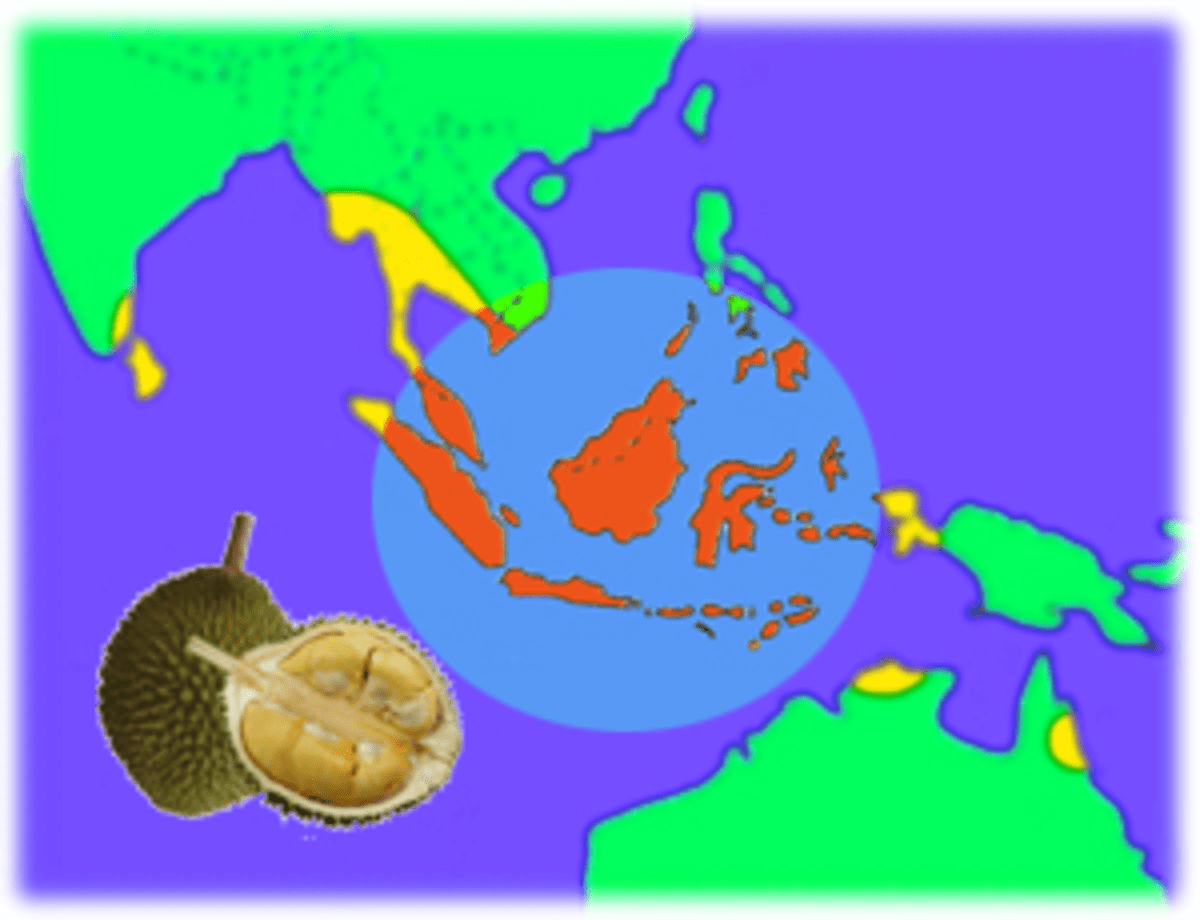 The Durian Symbol of Mystique HubPages