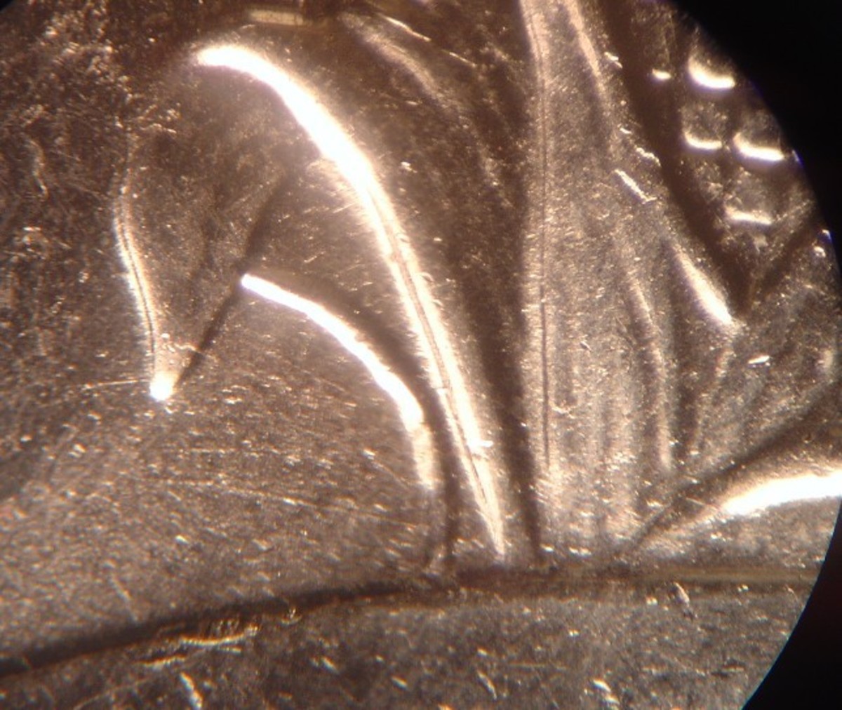 State Quarter Errors List HobbyLark