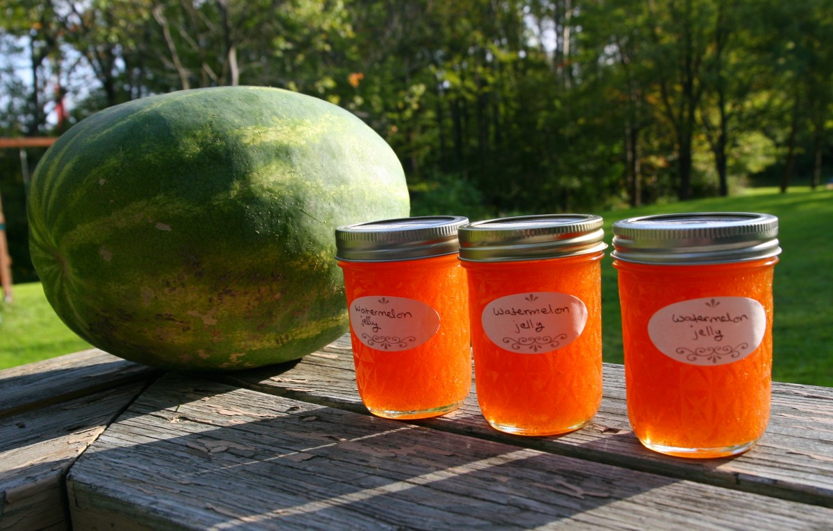 How to Make Watermelon Jelly with Four Simple Ingredients Delishably