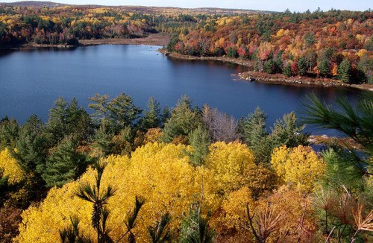 Reasons Why Autumn Is the Best Season Holidappy