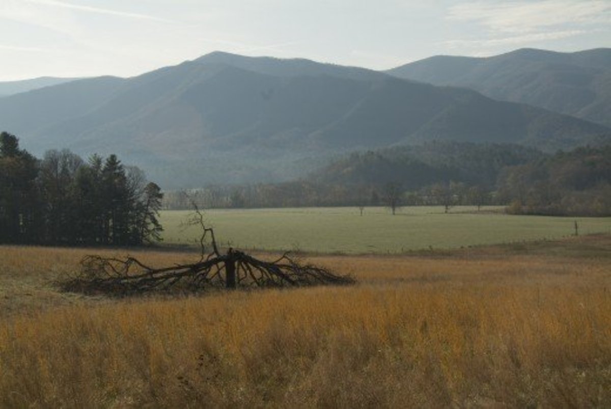 The Real People of Appalachia WanderWisdom
