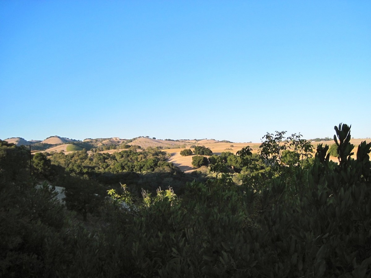 Kiler Canyon Road A Scenic Drive in Paso Robles, California HubPages