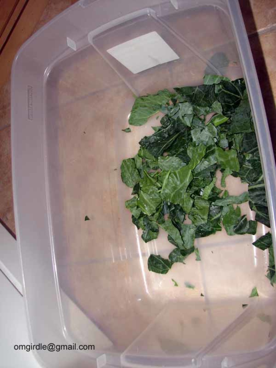 Collard Greens Recipe Step By Step HubPages