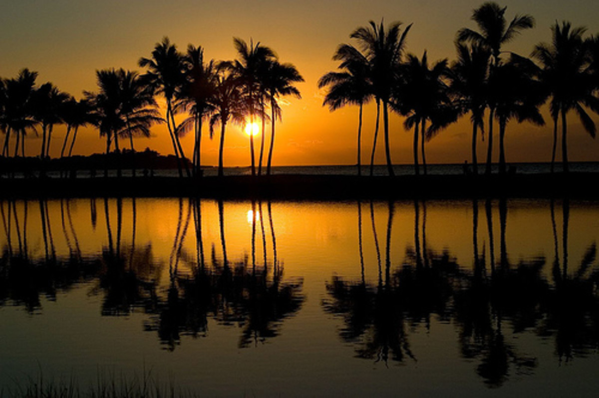 Best Family Activities On Hawaii's Big Island