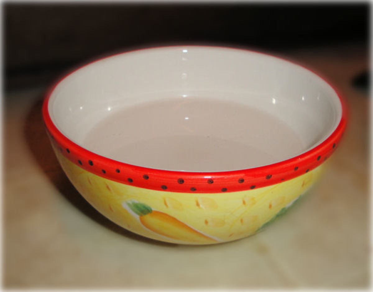 How to Prevent Your Cat From Spilling Their Water Bowl HubPages