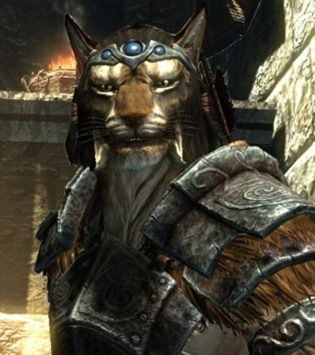 Skyrim 4 Fun and Unique Character Builds LevelSkip