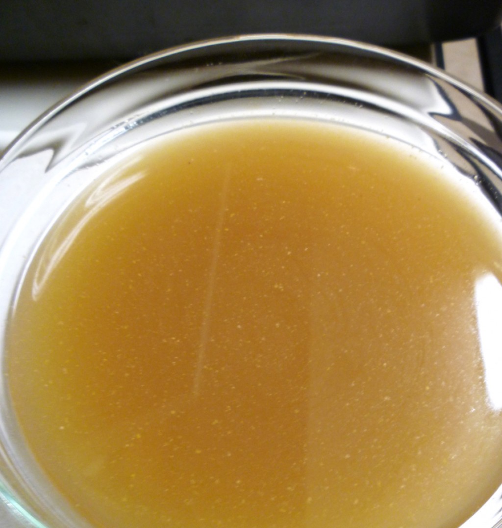 How to Make Pork Stock