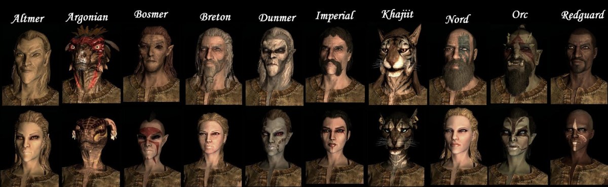 Races In Skyrim The Elder Scrolls V With A Chart hubpages