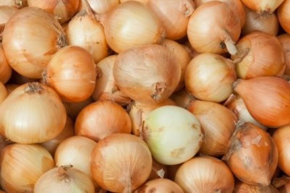 The Benefits of Eating Raw Onions Everyday CalorieBee