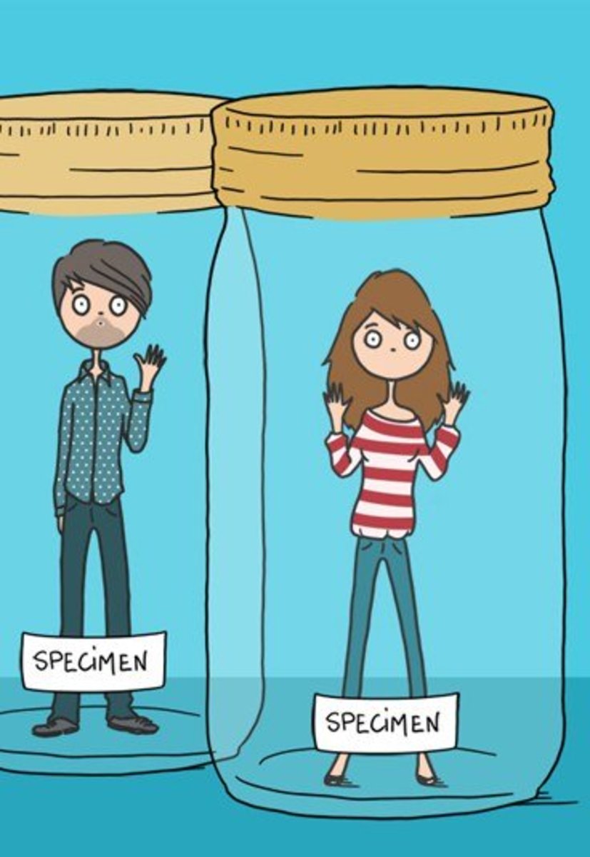 Biological Differences Between Men and Women Owlcation