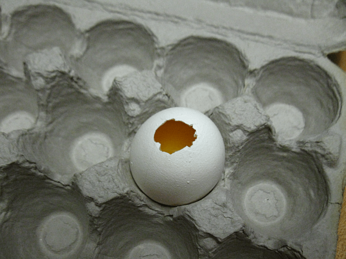 How to Make a Candle Using an Eggshell for a Mold HubPages