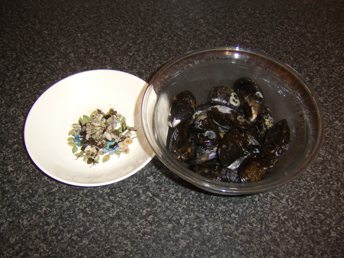 How to Collect, Clean and Cook Fresh Mussels Delishably