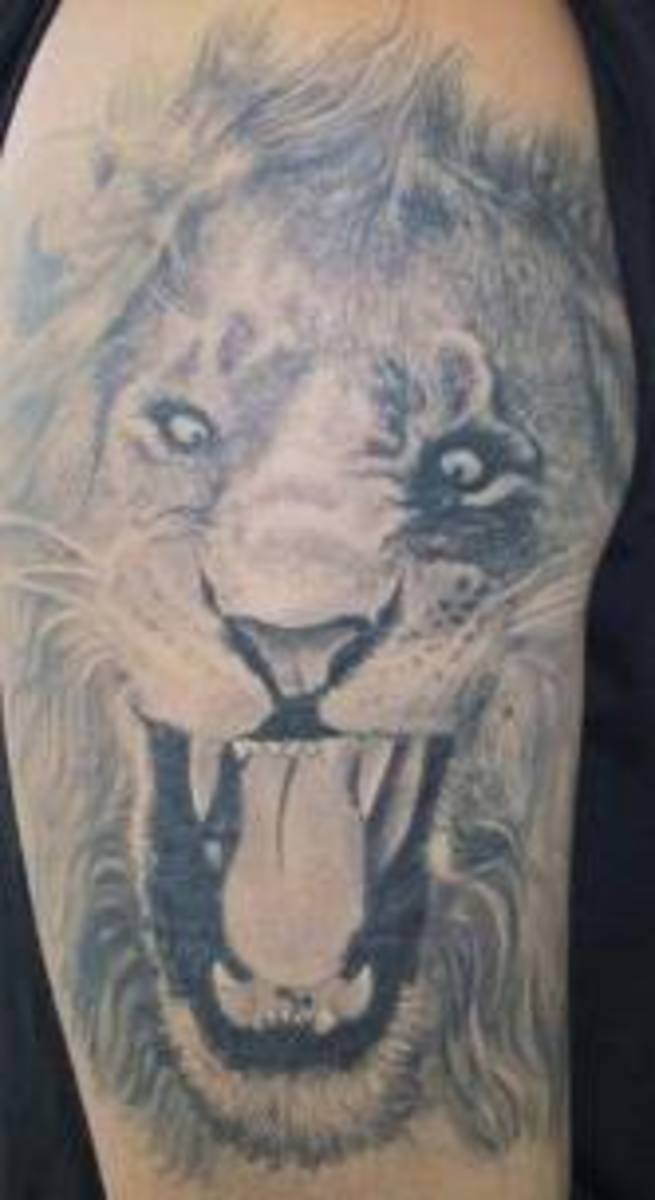 Lion Tattoos Meanings, Designs, and Ideas TatRing
