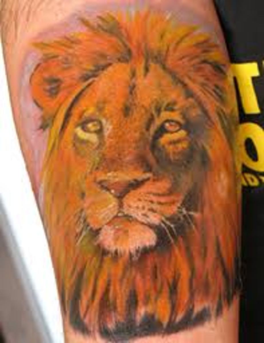 Lion Tattoos Meanings, Designs, and Ideas TatRing