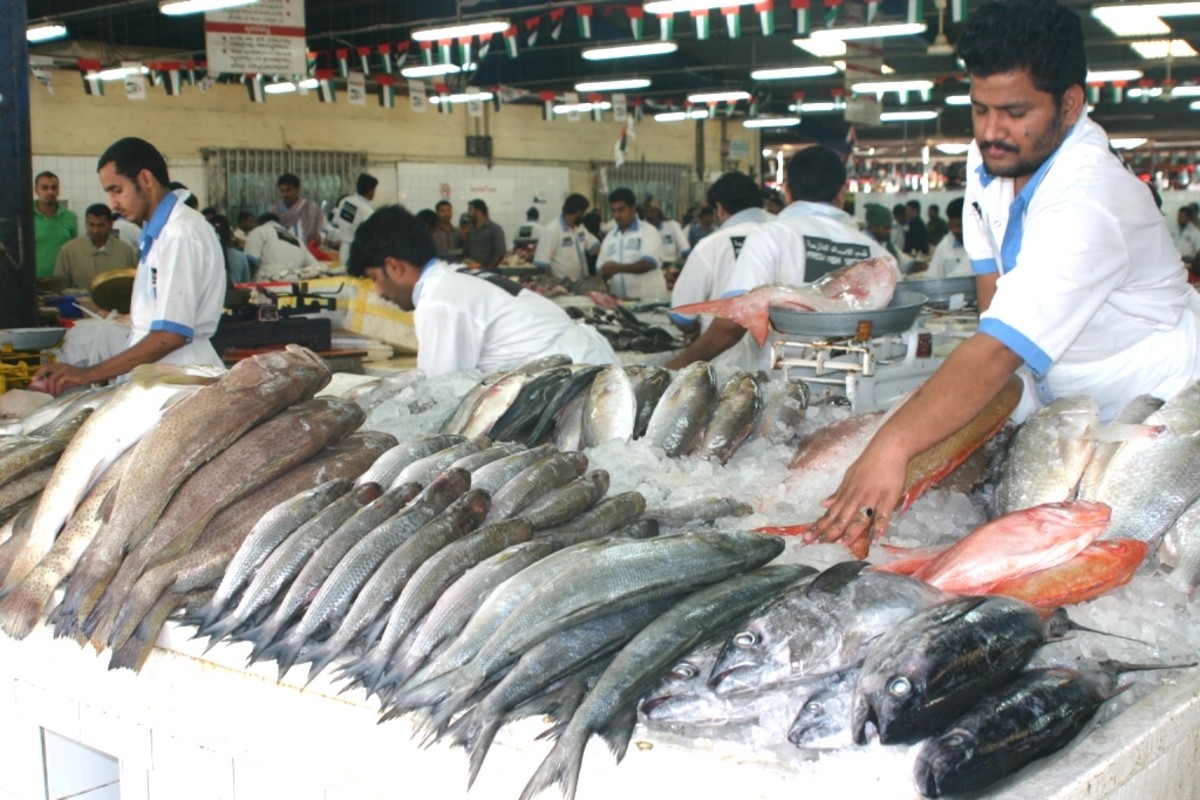 Dubai Deira Fish Market HubPages