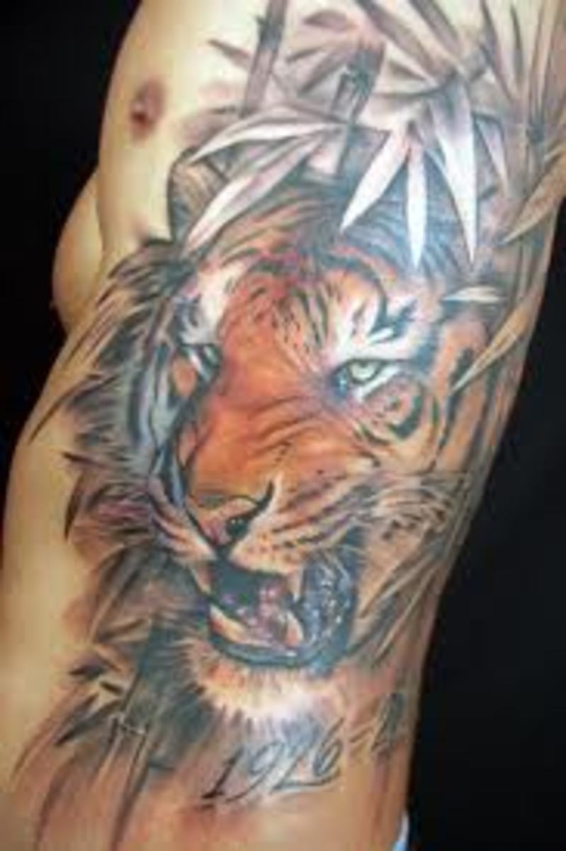 Tiger Tattoo Designs, Ideas, and Meanings TatRing