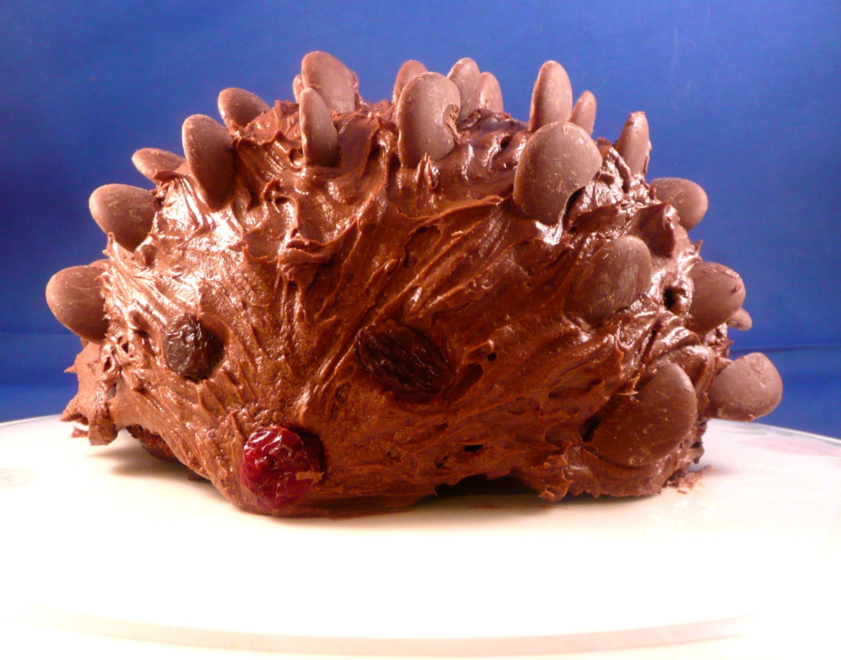 How to Make a Chocolate Hedgehog Cake Delishably