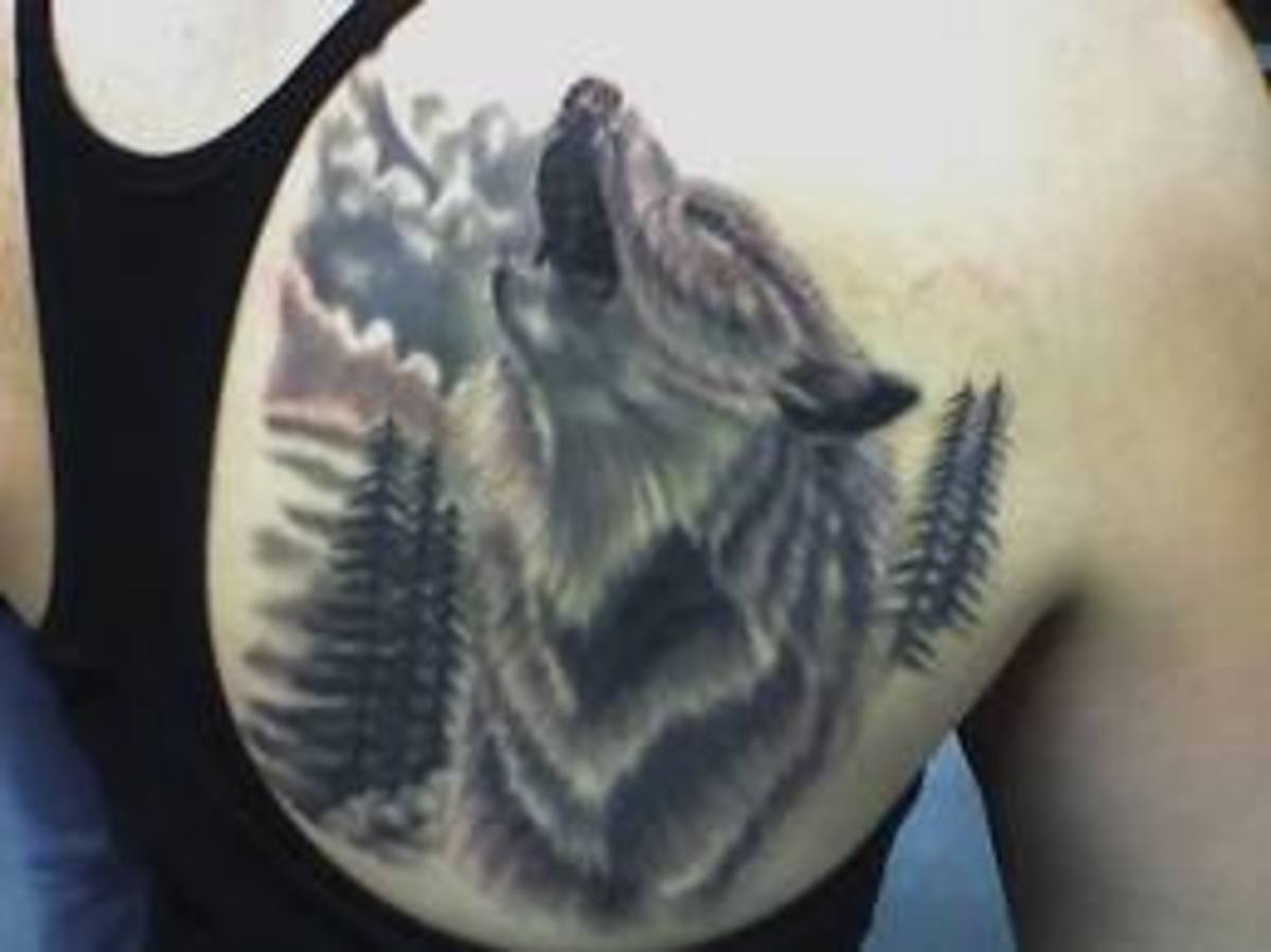 Wolf Tattoos Designs, Ideas, and Meanings TatRing
