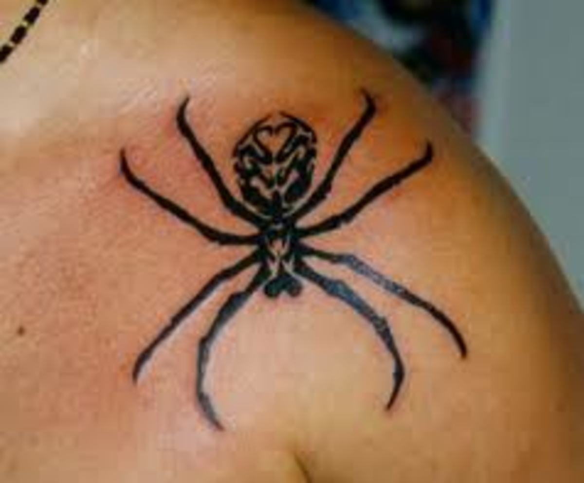 Spider and SpiderWeb Tattoo Designs and Meanings TatRing