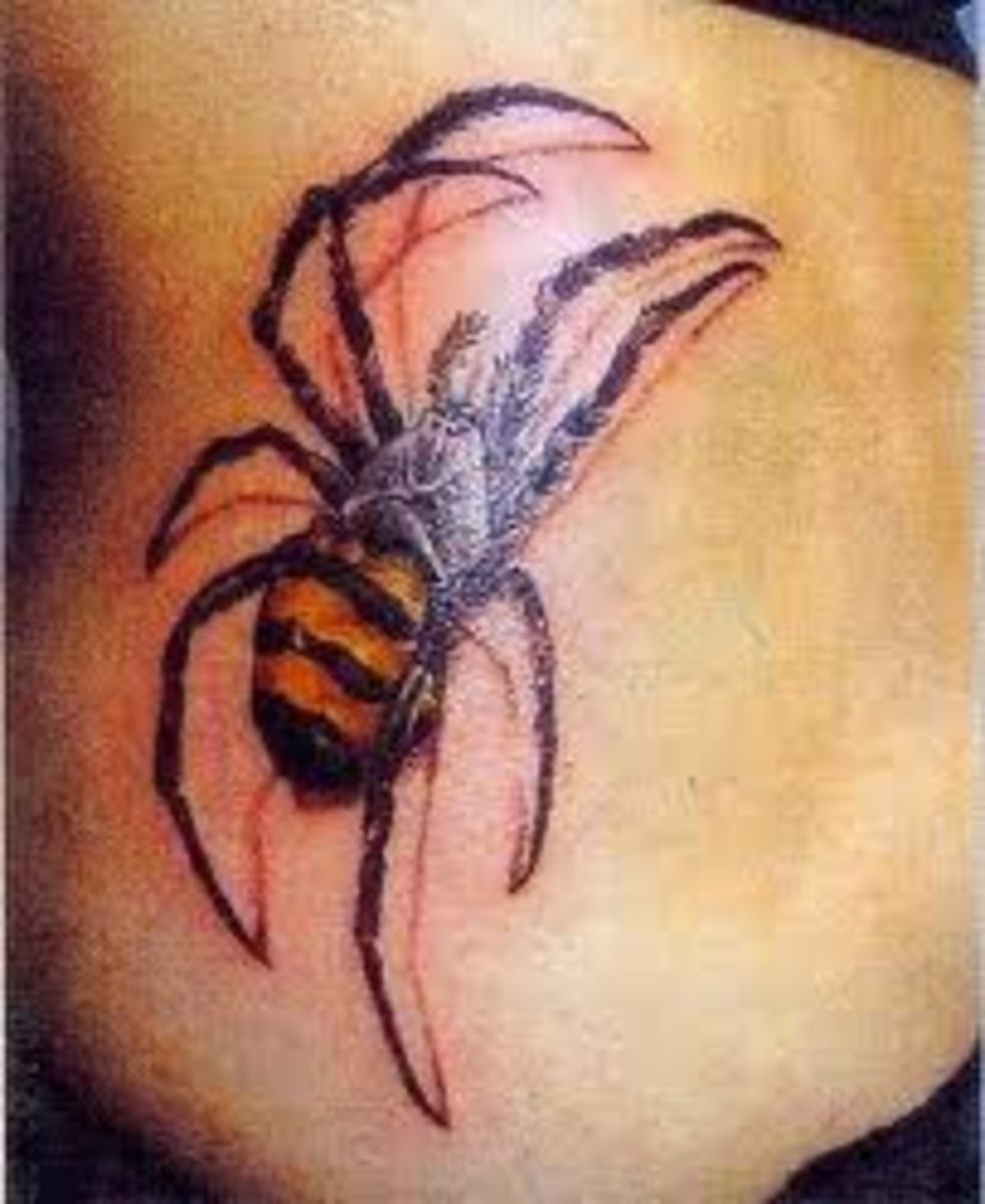 Spider and SpiderWeb Tattoo Designs and Meanings TatRing