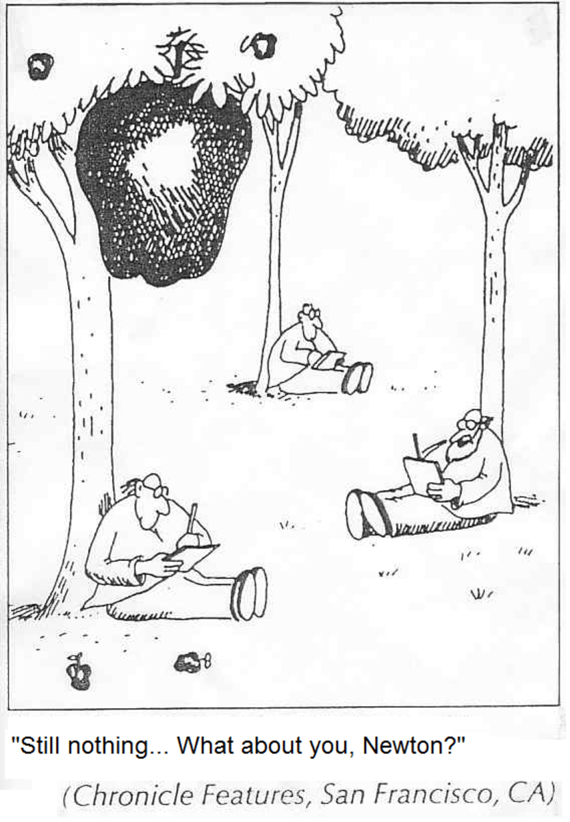 Newton's Law of Universal Gravity HubPages