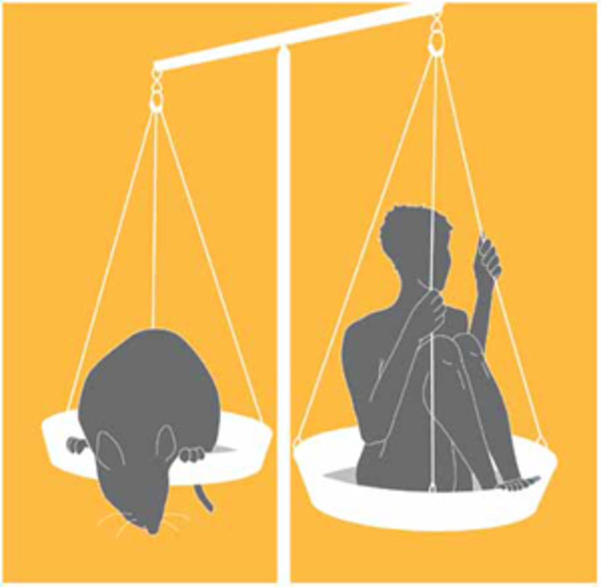 Ethical Dilemma Should Animal Testing for Medical Purposes Be Allowed