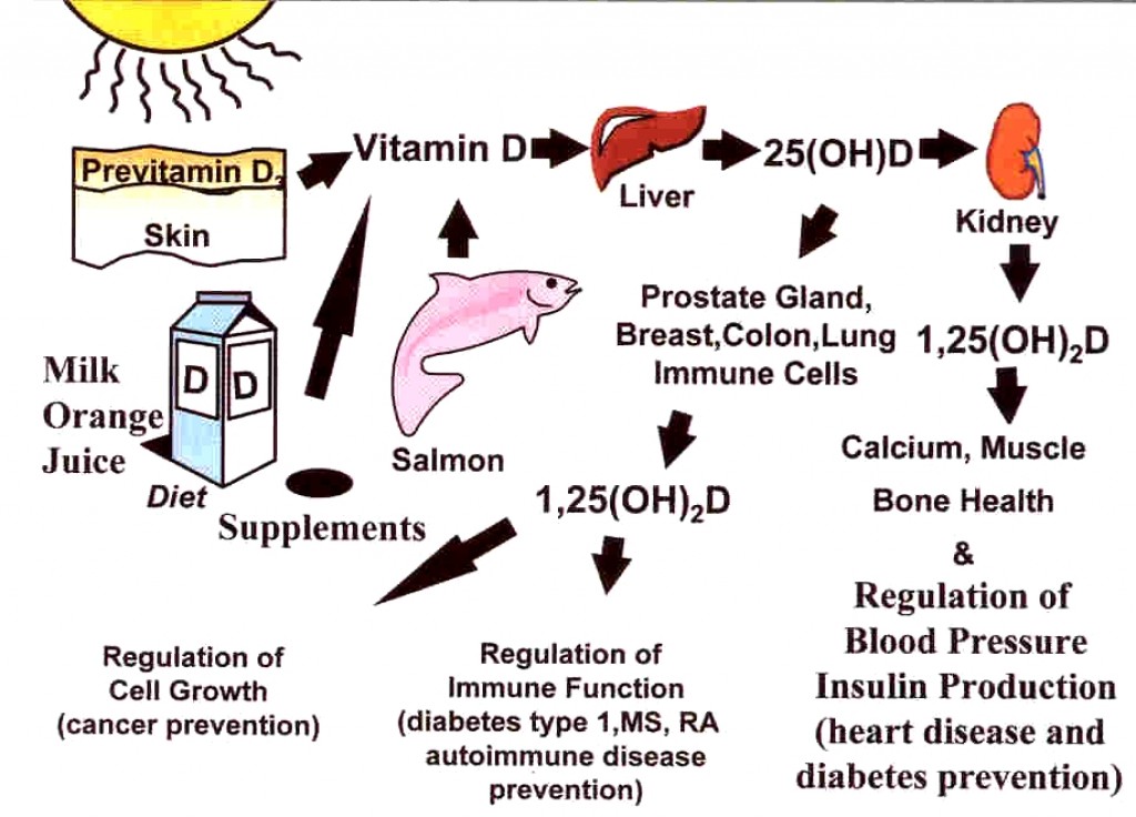 Vitamin D Deficiency in Mothers Linked to Childhood Speech Problems
