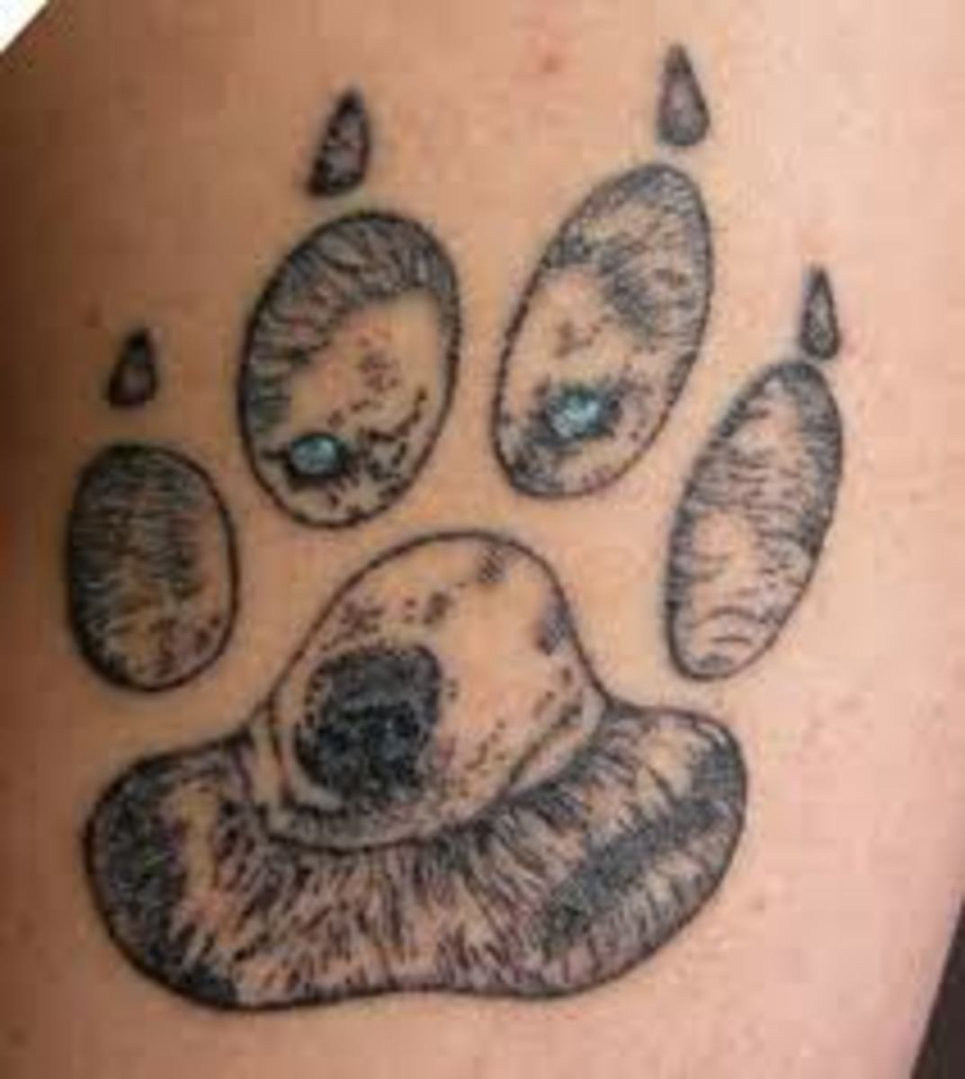 Siberian Husky Facts And Owner Tattoos hubpages