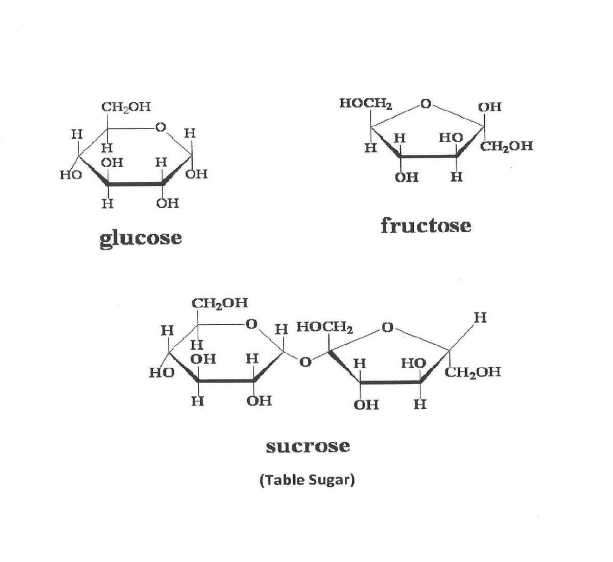 Why High Fructose Corn Syrup (HFCS) is not the same as Table Sugar hubpages