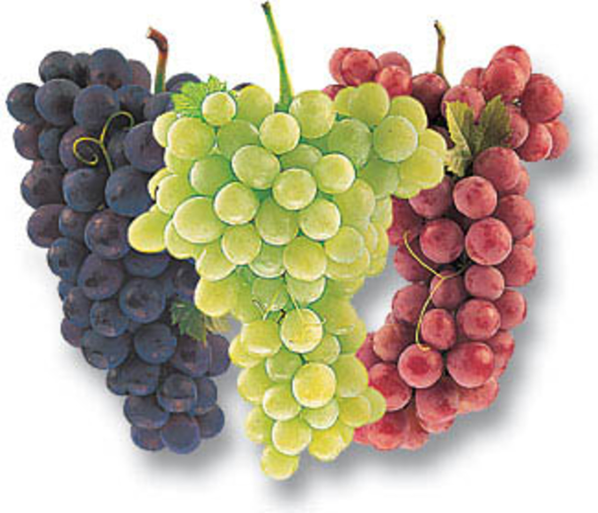 The Awesome Health Benefits of Grapes HubPages
