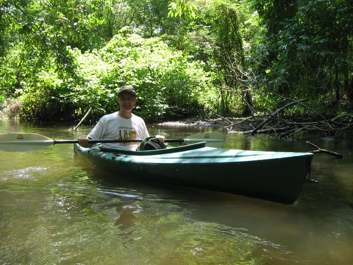 Kayaking The Hillsborough River of Central Florida HubPages