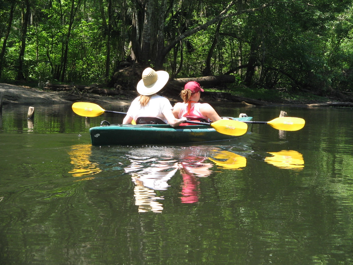 Kayaking The Hillsborough River of Central Florida HubPages