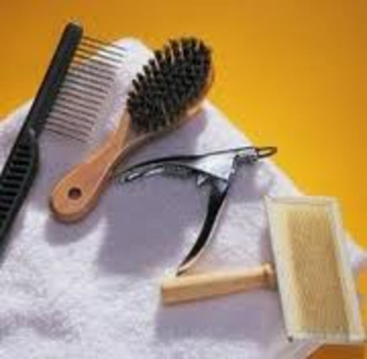 Ten Easy Steps to Groom your Poodle Like a Professional HubPages