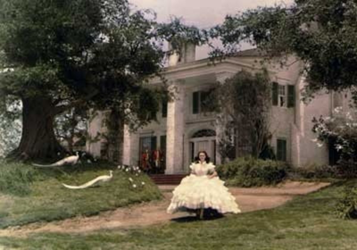 Best Plantations to Visit in the Charleston, SC Area