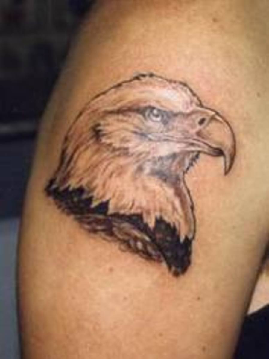 Majestic Eagle Tattoos TatRing
