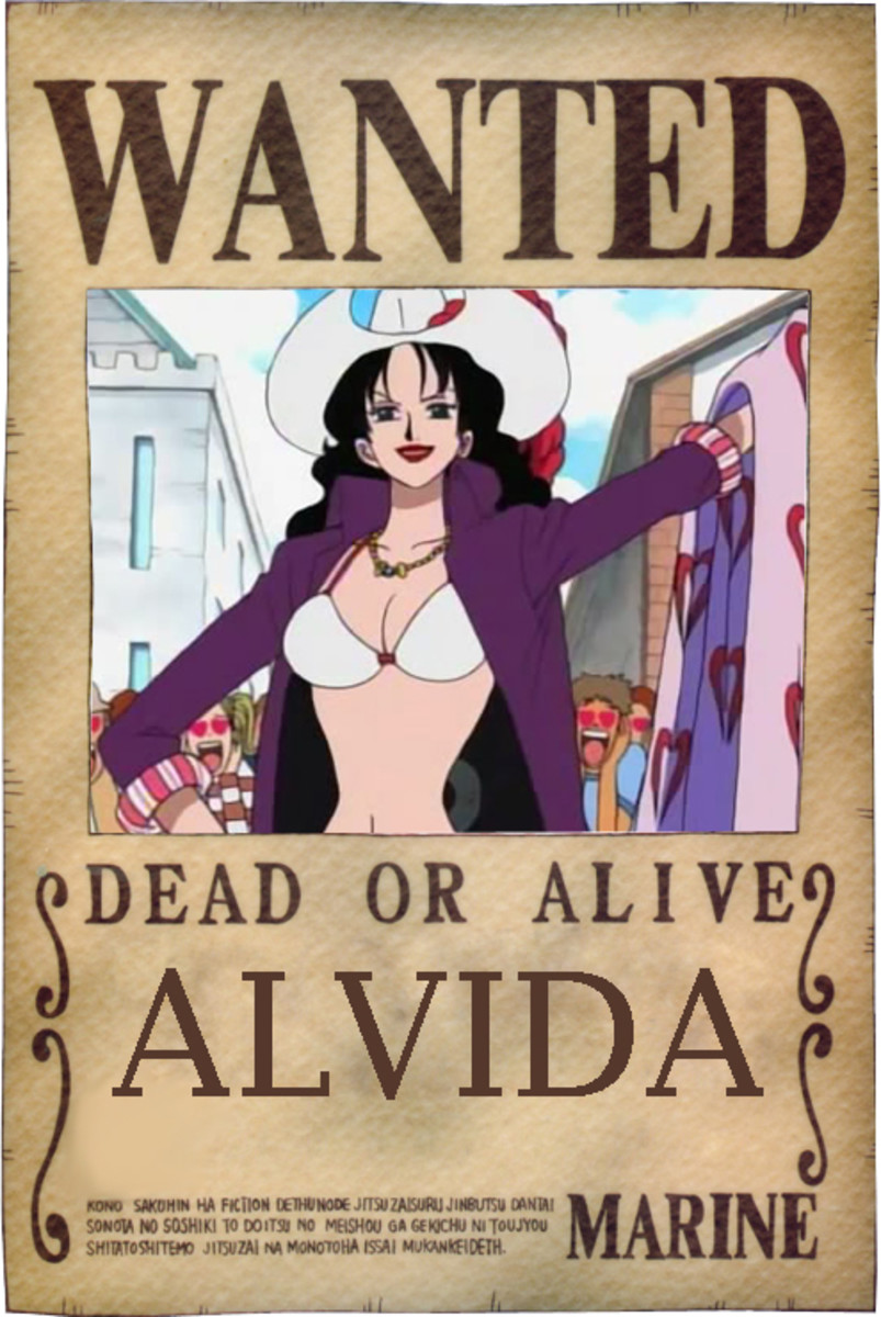 One Piece Devil Fruits and Users HubPages