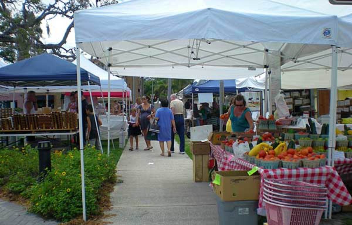 What To Do On Florida's Space Coast HubPages