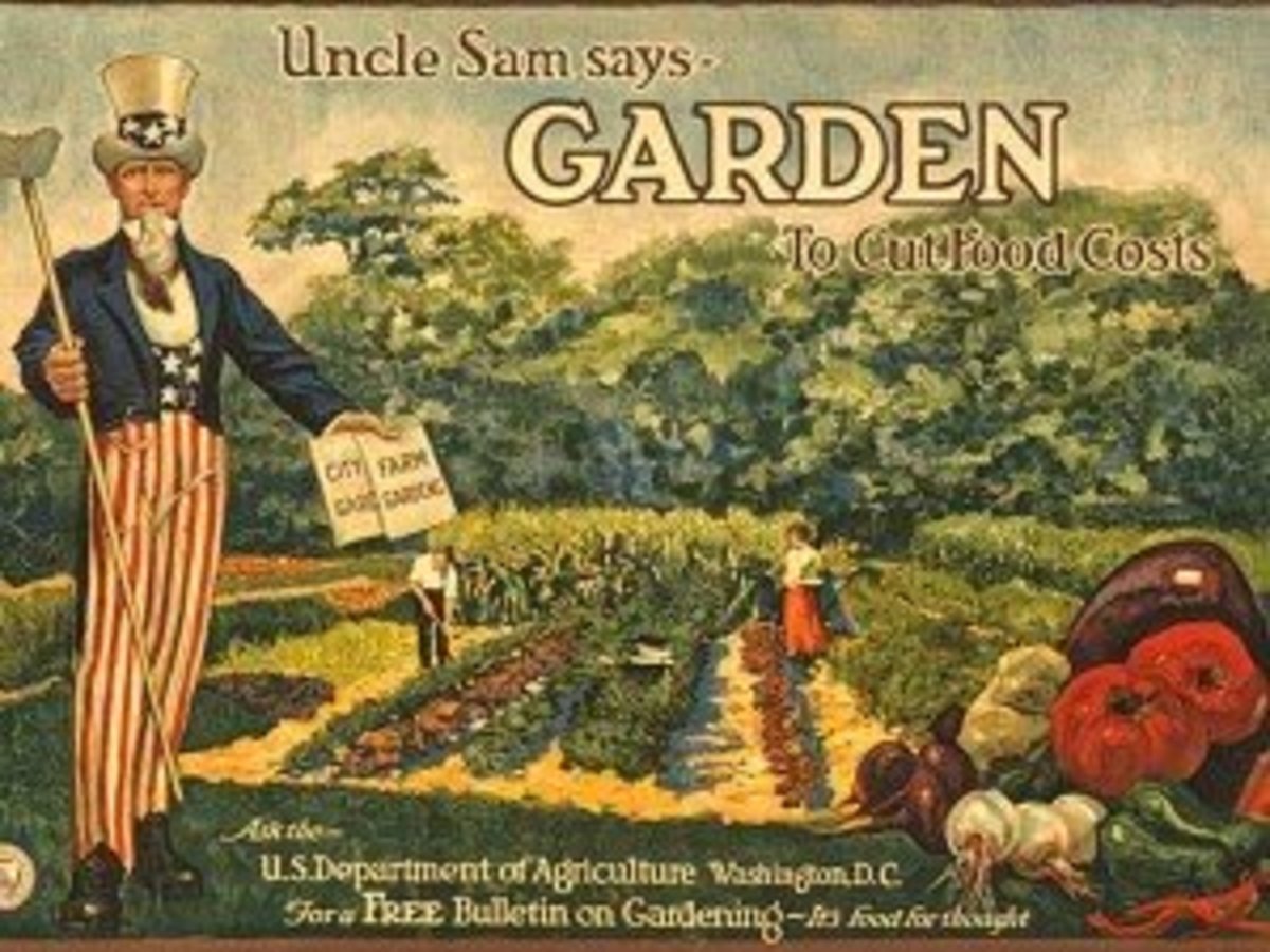 Liberty and Victory Gardens During World Wars I and II and Benefits of