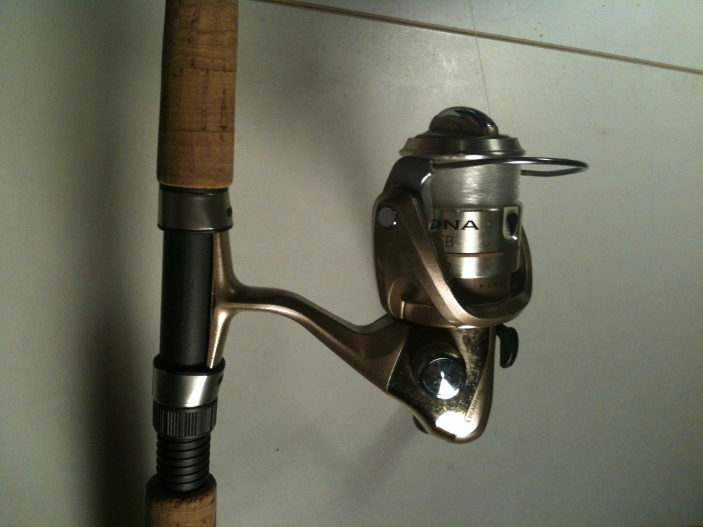 Best Spinning Reels for Light Tackle