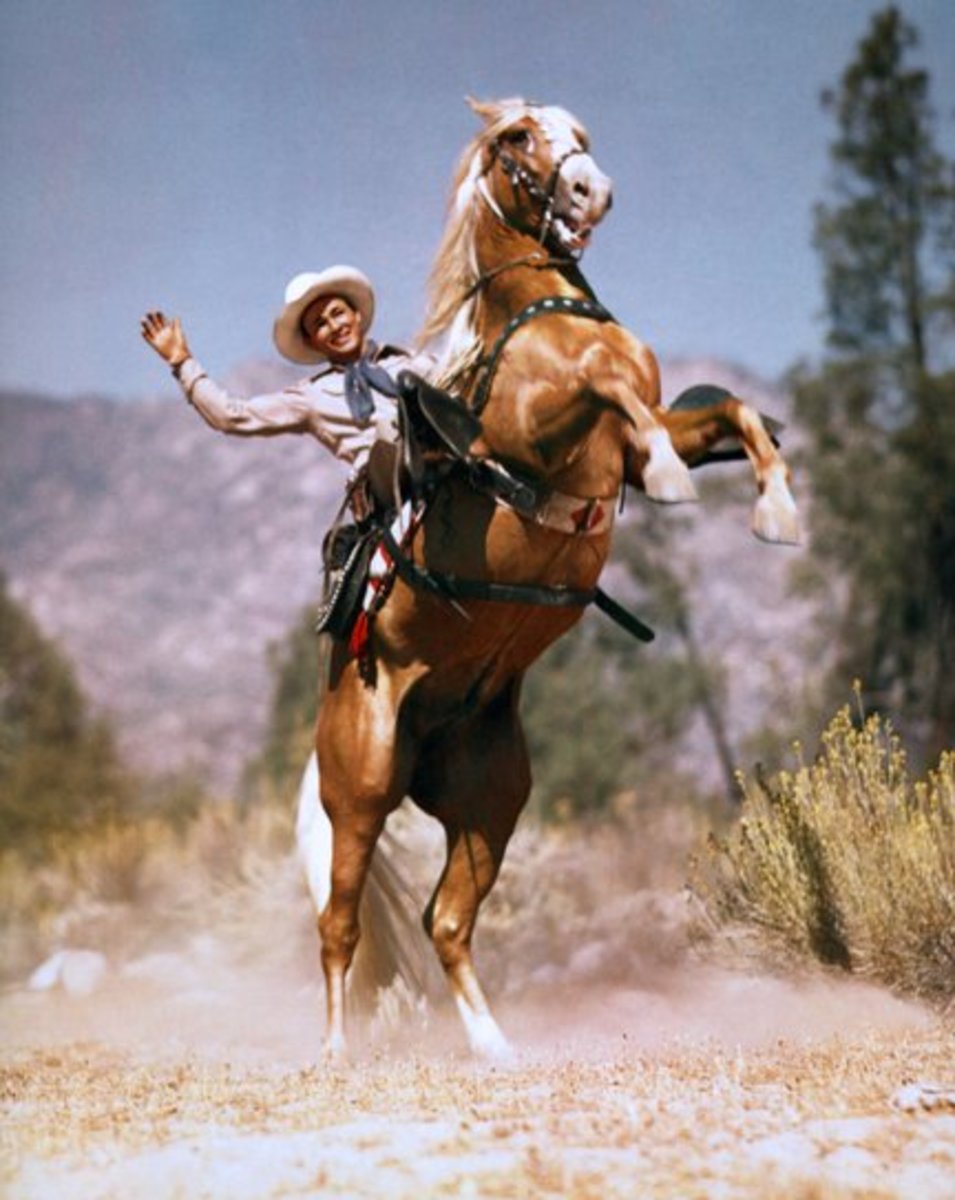 Horses of Famous Western Movie Stars and Their Sidekicks ReelRundown