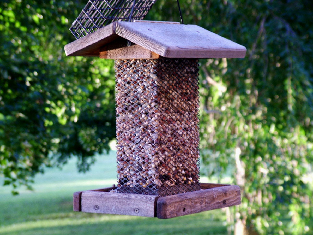 How To Build A Bird Feeder Pole hubpages