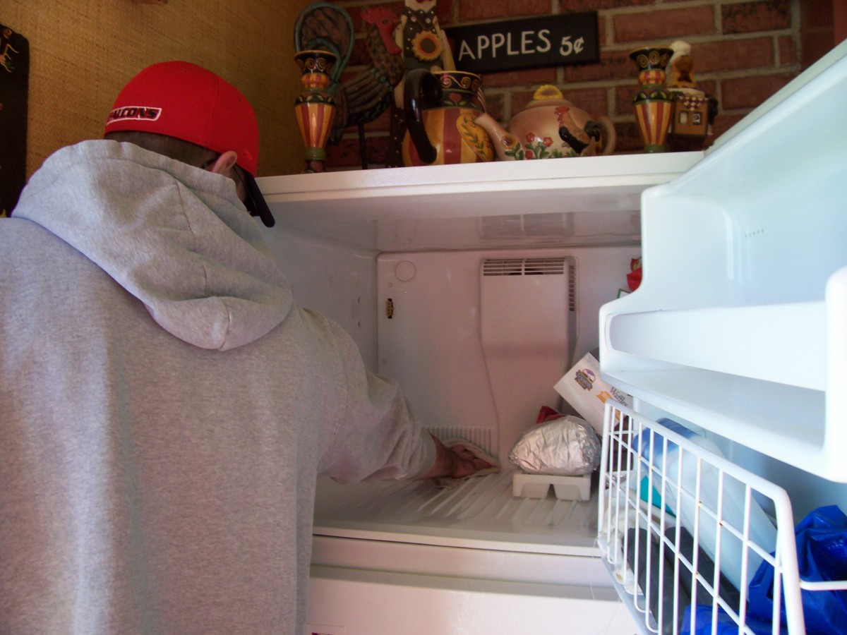 How to Clean a Smelly Refrigerator Dengarden