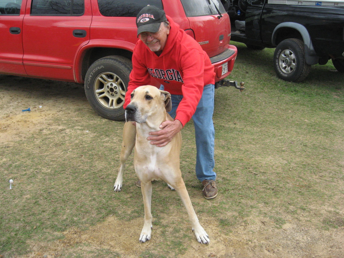 How to Clean Minor Wounds and Prevent Infection HealDove