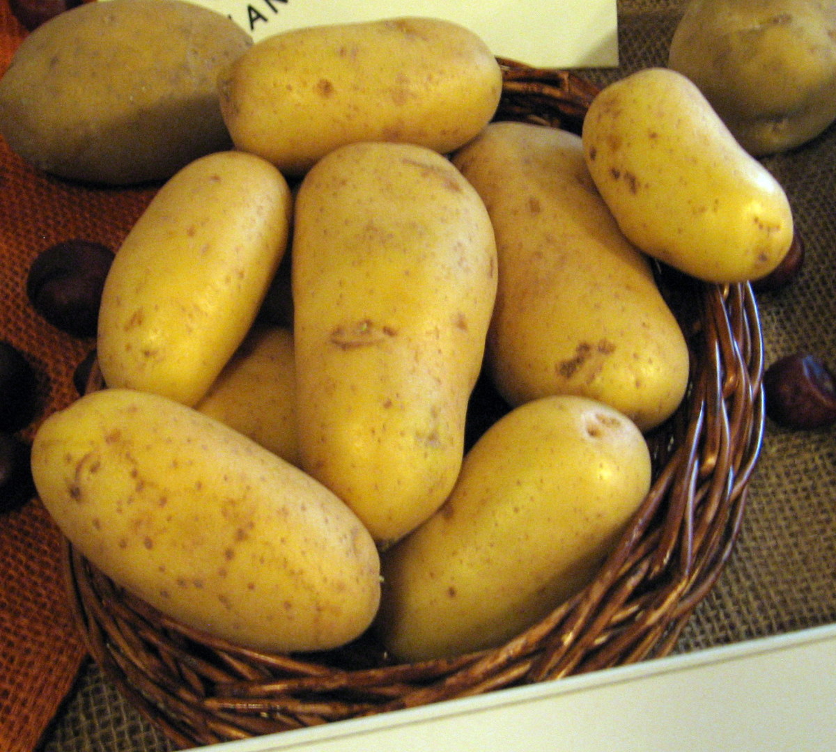 Rheumatism and Arthritis Symptoms, Causes and Its Control With