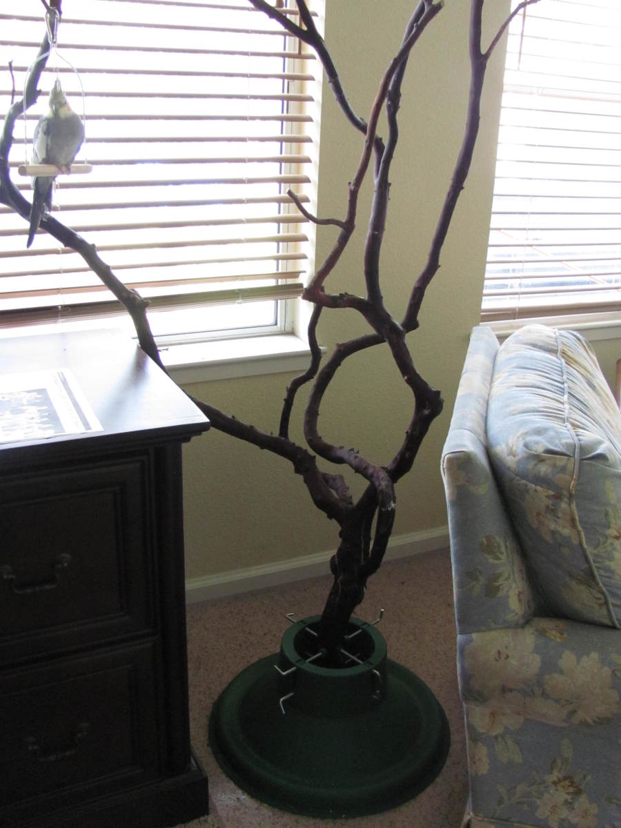 Organizing Your Home for Parrots, Parakeets, or Cockatiels Bird Trees