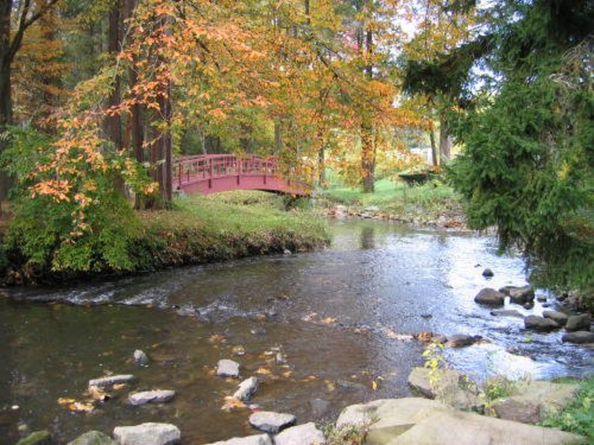 Forest Park, the Jewel of Springfield, Massachusetts WanderWisdom