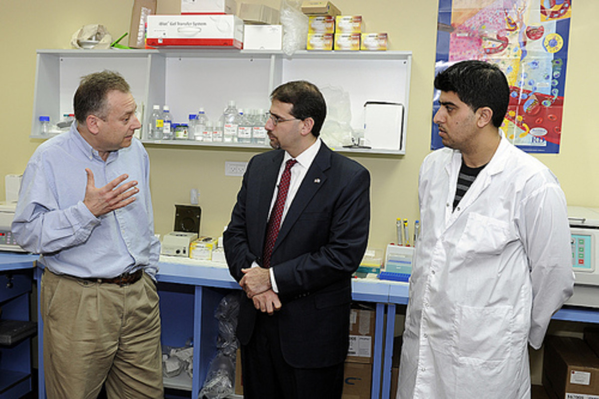 How To a Pharmaceutical Sales Rep HubPages